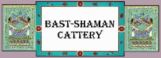 Bast-Shaman Cattery