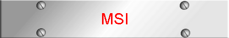 MSI