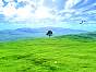 green_tranquillity_by_angr.jpg