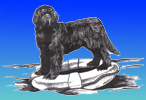Seadogs Logo
