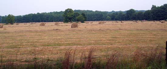 013 Hay Field