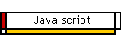 Java script