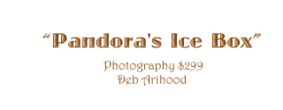 ��Pandora's Ice Box��
 Photography $299
Deb Arihood
