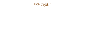 DSC09511